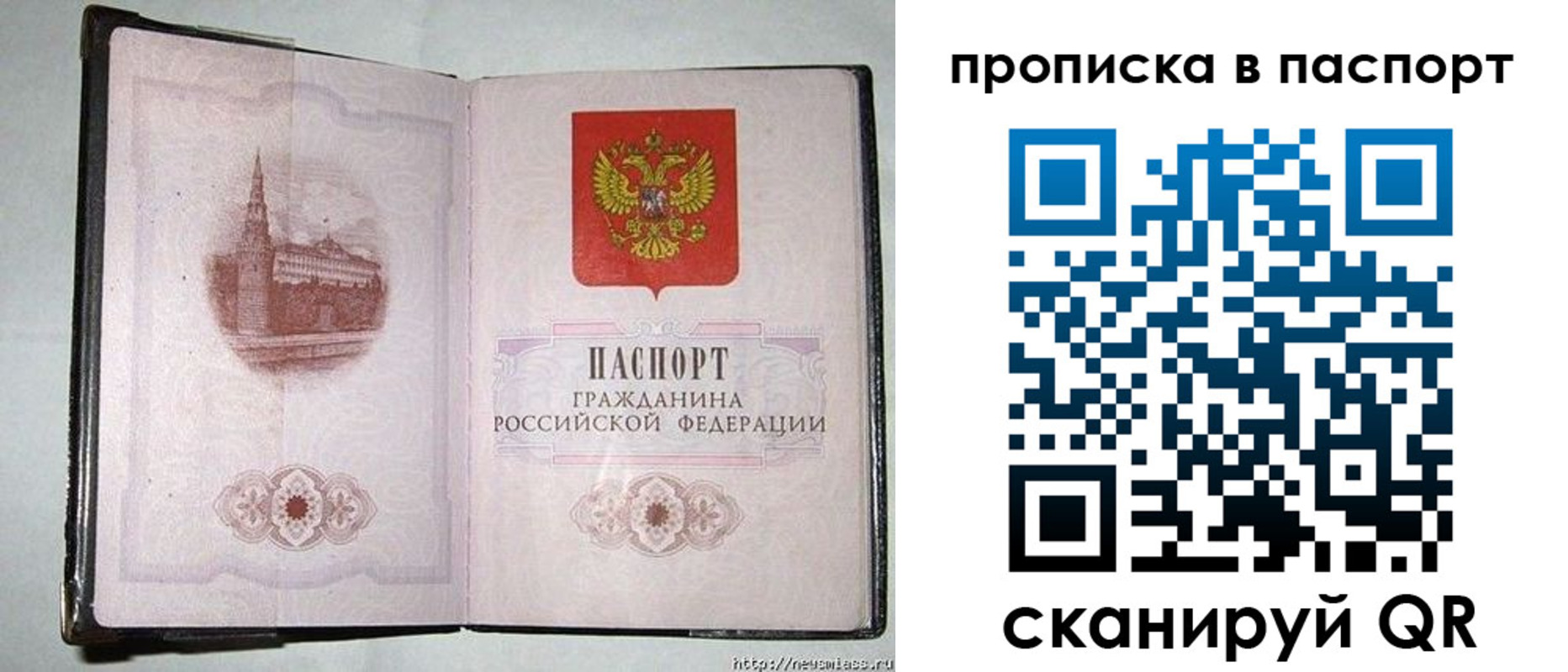 прописка штамп в Кингисеппе